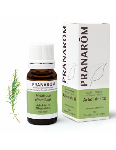 PRANAROM AE ARBOL DEL TE 10 ML