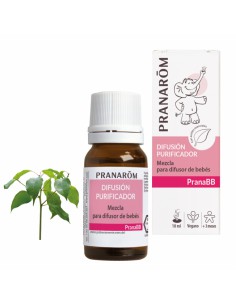 PRANAROM PRANABB DIFUSION...