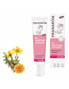 PRANAROM PRANABB GEL...